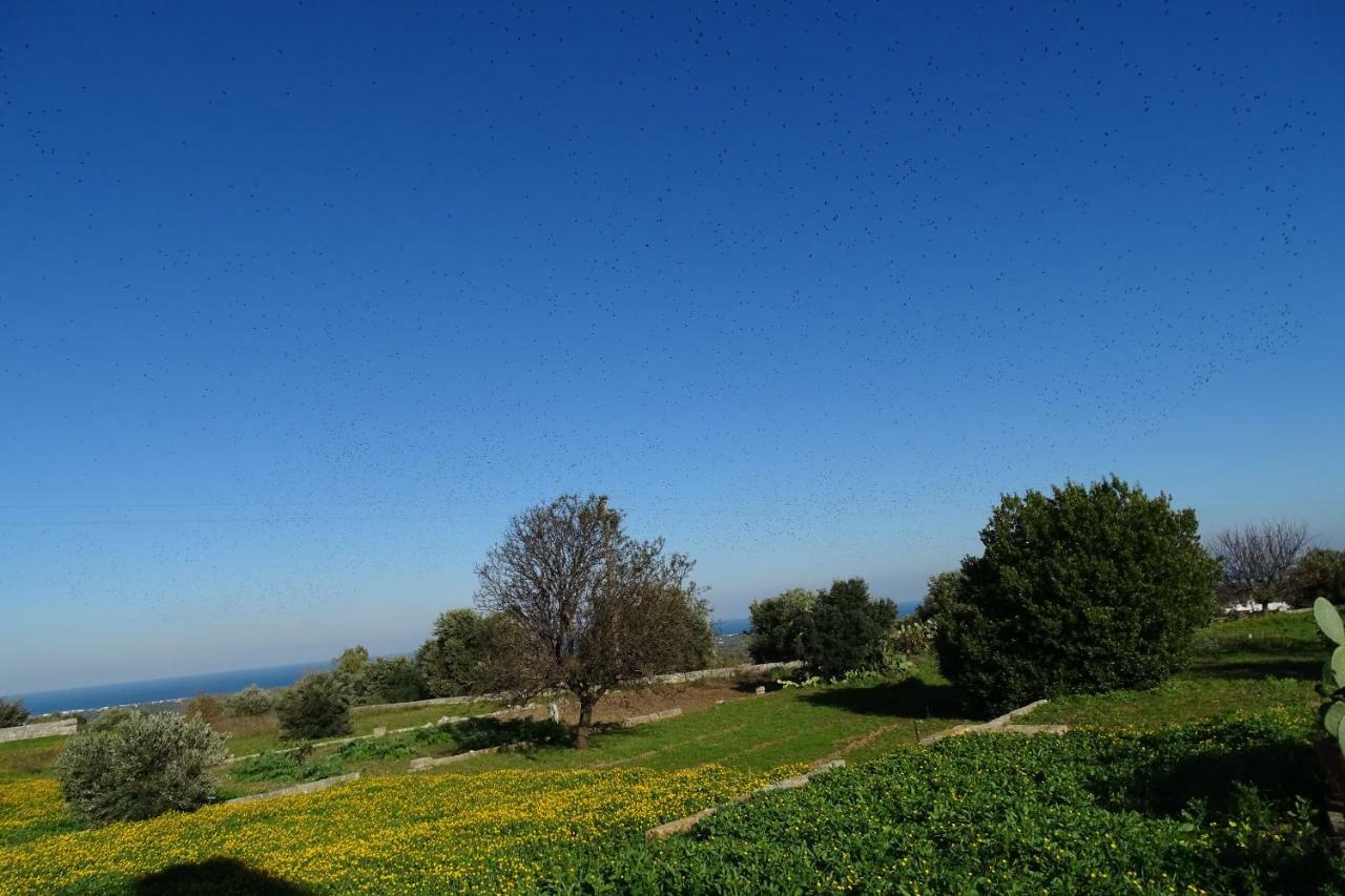 Il Fico D'India Dell'Antico Orto Βίλα Ostuni Εξωτερικό φωτογραφία