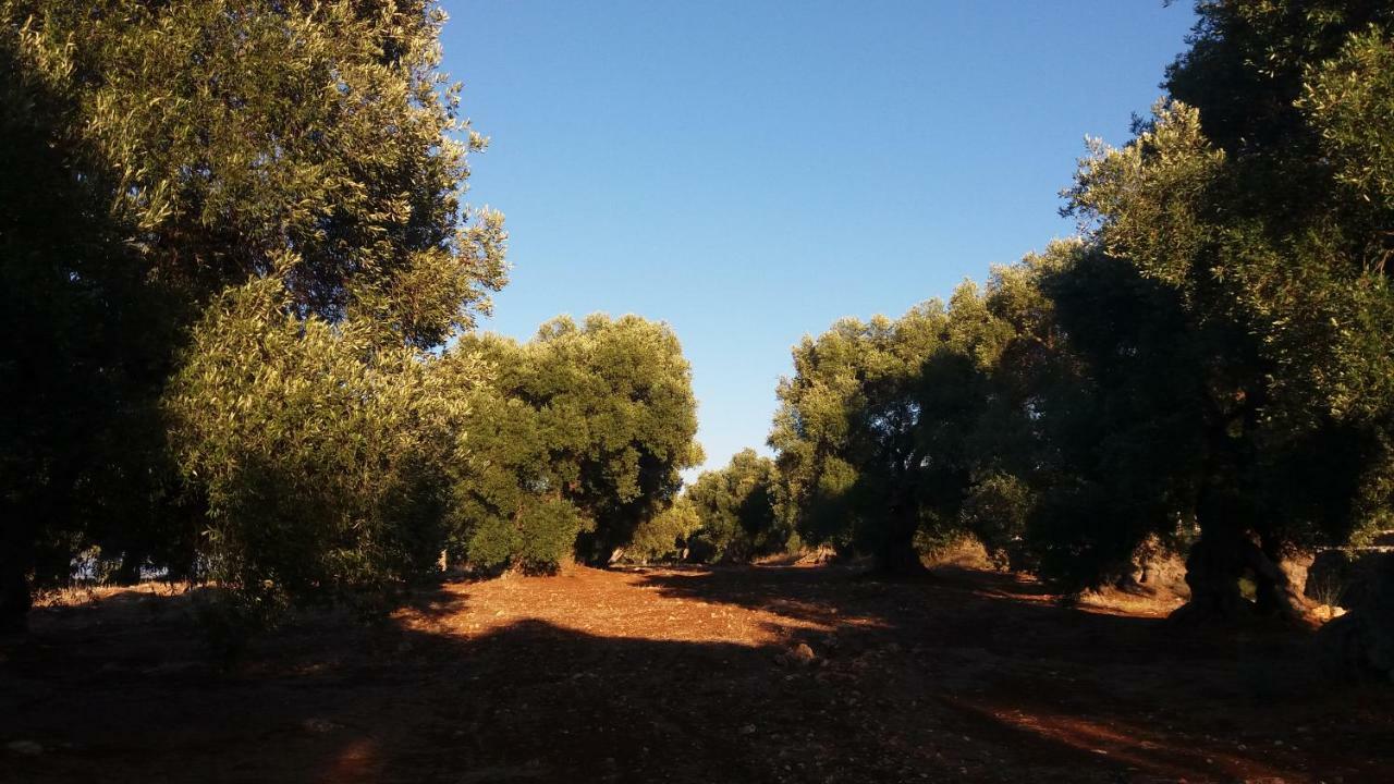 Il Fico D'India Dell'Antico Orto Βίλα Ostuni Εξωτερικό φωτογραφία