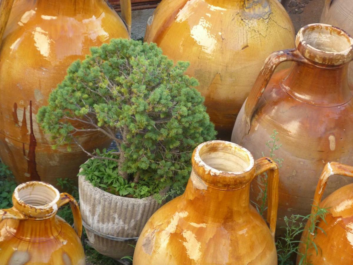 Il Fico D'India Dell'Antico Orto Βίλα Ostuni Εξωτερικό φωτογραφία