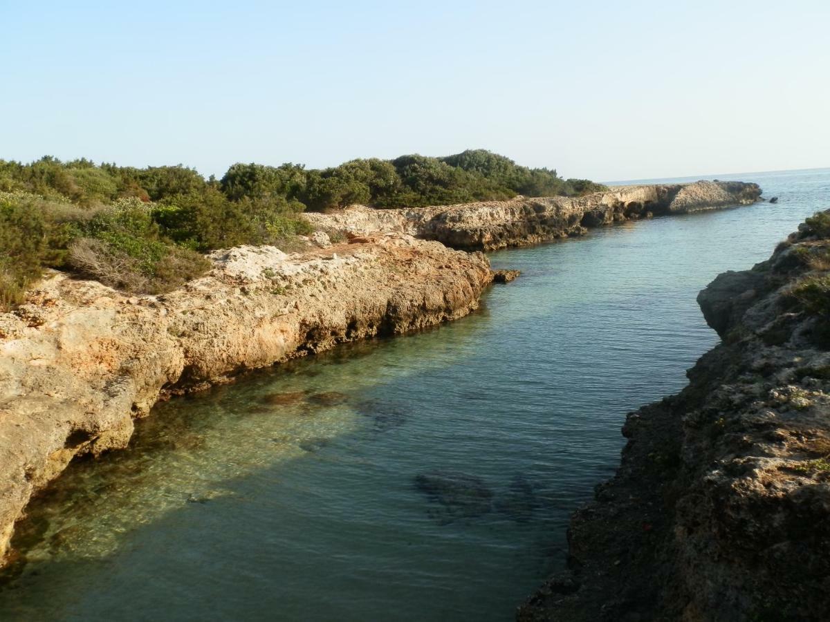Il Fico D'India Dell'Antico Orto Βίλα Ostuni Εξωτερικό φωτογραφία